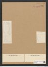 Diatomeae indet. Zeichnungen Sammlung Grunow Nr. 6265 (NHMW-BOT-W0374868)